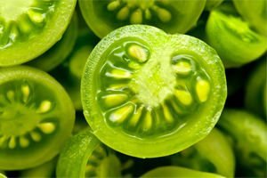Behandlung von Krampfadern grüne Tomaten