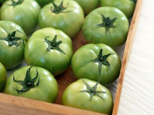 grüne Tomaten gegen Krampfadern